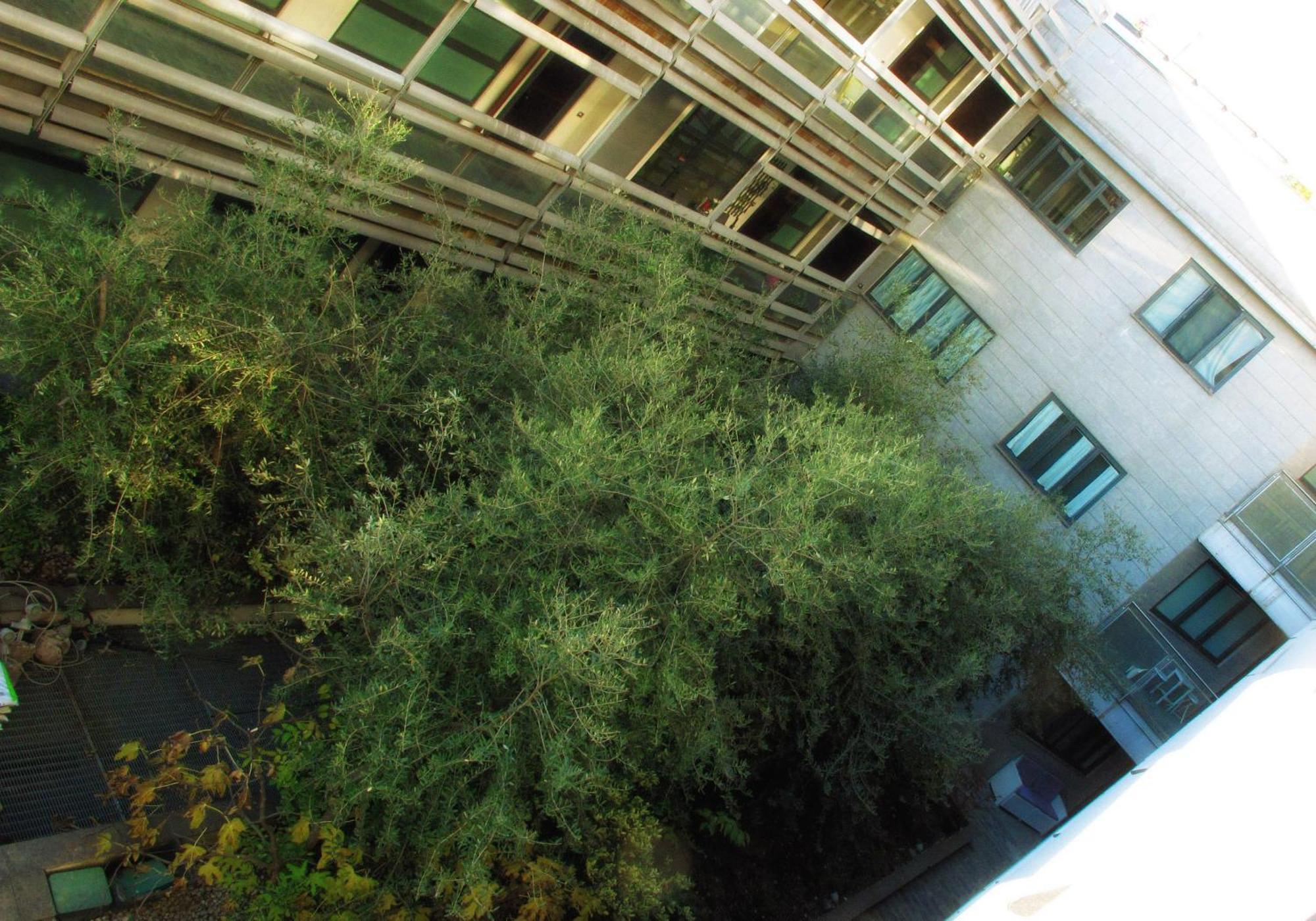 Caseospitali - Casa Navigli Watt, Vicino Al Naviglio, Originale E Luminoso Bilocale Per 4 Con Tutti I Comfort Milano Ngoại thất bức ảnh